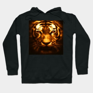 Striking Beautiful Tiger Stare, Vibrant Graphic Art of Tiger face available on many products Hoodie